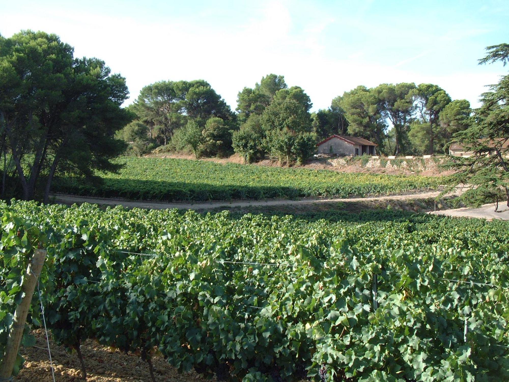 Chateau Saint Martin De Graves Aumes المظهر الخارجي الصورة