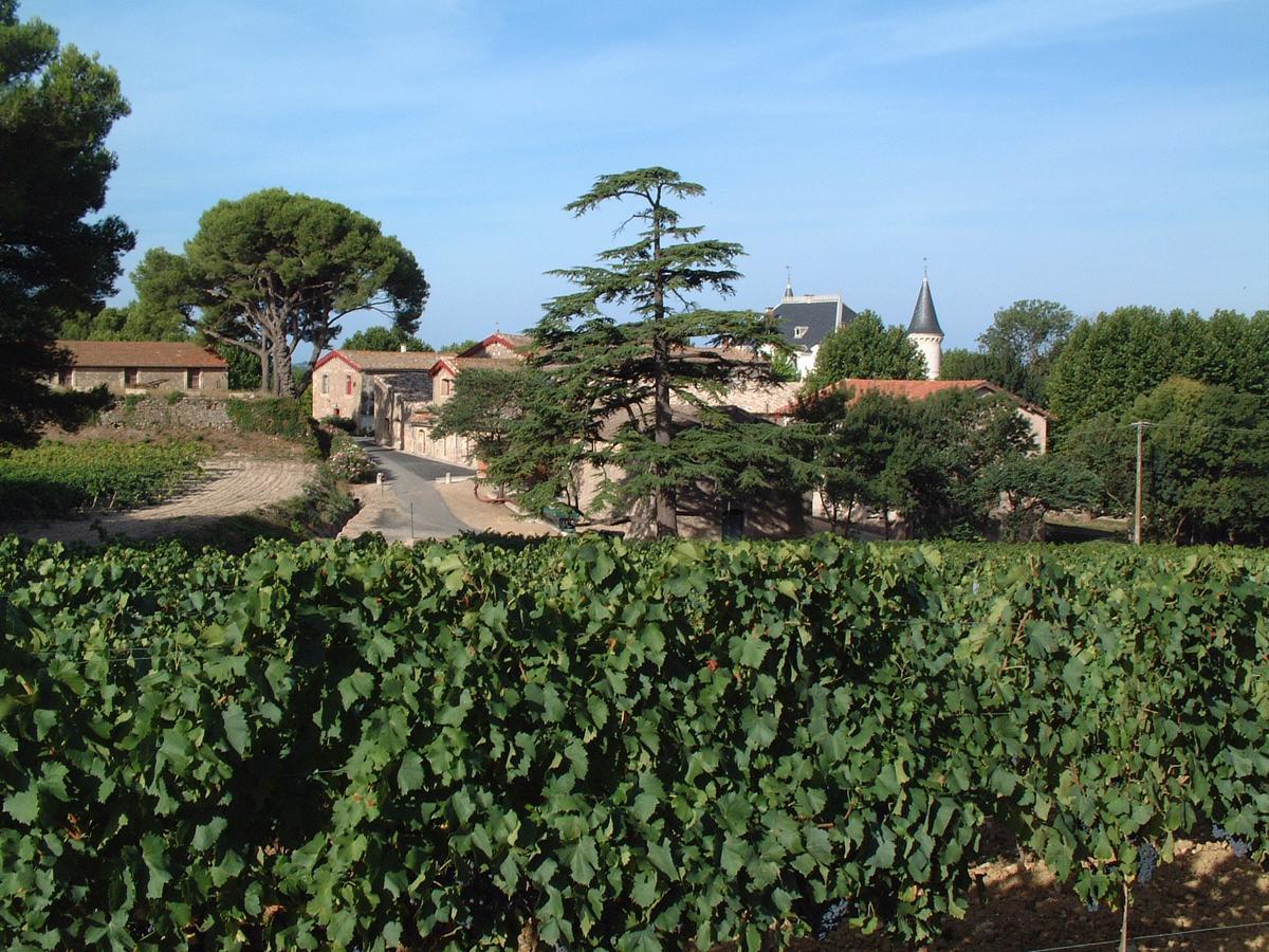Chateau Saint Martin De Graves Aumes المظهر الخارجي الصورة